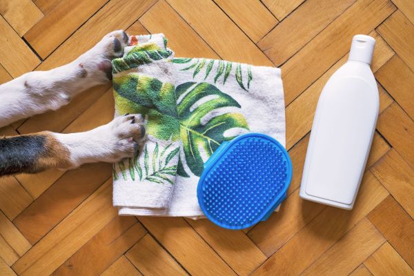 Comment choisir des produits de soin adaptés à la peau sensible de mon chien ?