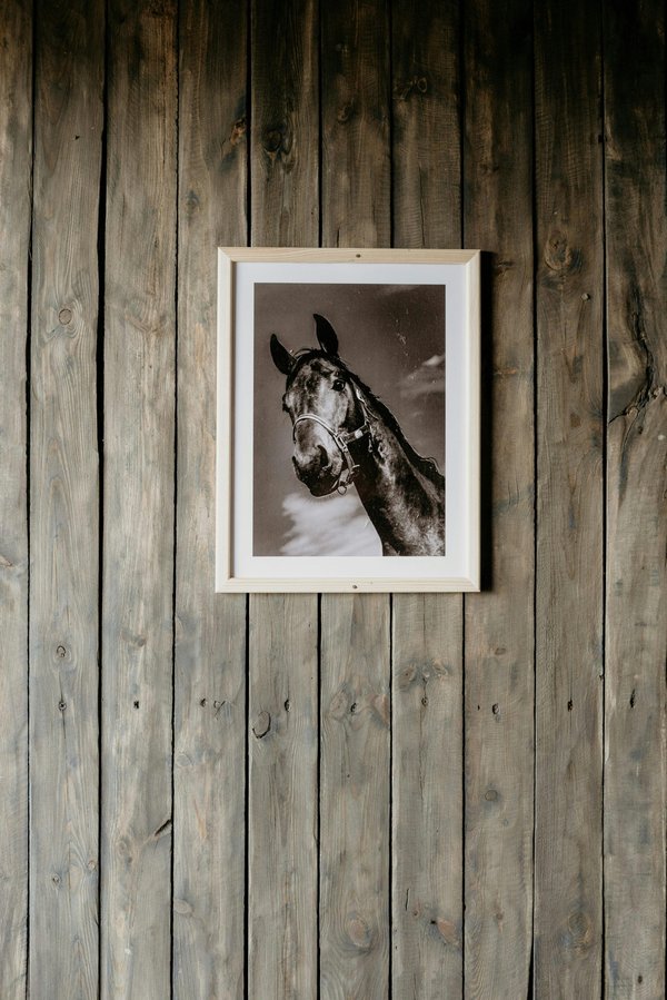 Tableau cheval : objets d'art pour amateurs d'équitation